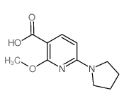 2-Methoxy-6-(pyrrolidin-1-yl)nicotinic acid