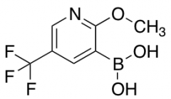 2-Methoxy-5-trifluoromethylpyridine-3-boronic Acid