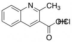 2-Methylquinoline-3-carboxylic Acid Hydrochloride