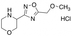 3-[5-(methoxymethyl)-1,2,4-oxadiazol-3-yl]morpholine hydrochloride