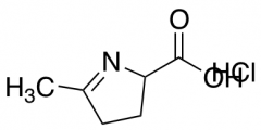 5-methyl-3,4-dihydro-2H-pyrrole-2-carboxylic acid hydrochloride