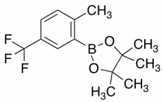 2-Methyl-5-trifluoromethylphenylboronic Acid Pinacol Ester