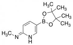 N-Methyl-5-(4,4,5,5-tetramethyl-1,3,2-dioxaborolan-2-yl)pyridin-2-amine
