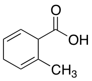 2-Methylcyclohexa-2,5-diene-1-carboxylic Acid