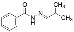 N'-[(1E)-2-Methylpropylidene]benzohydrazide