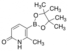 6-Methyl-5-(4,4,5,5-tetramethyl-1,3,2-dioxaborolan-2-yl)pyridin-2-ol