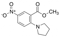 Methyl 5-Nitro-2-(1-Pyrrolidinyl)Benzenecarboxylate