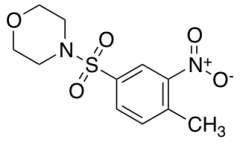 4-[(4-Methyl-3-Nitrobenzene)Sulfonyl]Morpholine