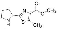 Methyl 5-Methyl-2-(pyrrolidin-2-yl)-1,3-thiazole-4-carboxylate