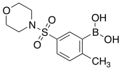 (2-Methyl-5-(morpholinosulfonyl)phenyl)boronic Acid