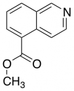 methyl 5-isoquinolinecarboxylate