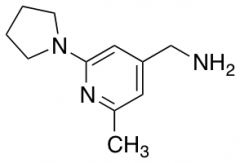 [2-methyl-6-(pyrrolidin-1-yl)pyridin-4-yl]methanamine