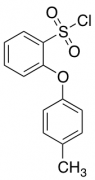 [2-(4-Methylphenoxy)Phenyl]Sulfonyl Chloride