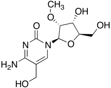 2&rsquo;-O-Methyl-5-hydroxymethylcytidine