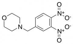 4-[(3,4-Dinitrophenyl)methyl]-morpholine