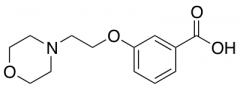 3-(2-Morpholin-4-yl-ethoxy)-benzoic Acid