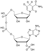 &beta;-NADPH-d4