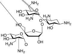 Neomycin B