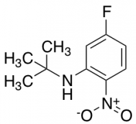 N-(tert-Butyl)-5-fluoro-2-nitroaniline