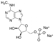 N6-Methyladenosine-5'-monophosphate Sodium Salt