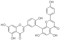 穗花杉双黄酮（阿曼托黄酮）对照品