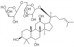 人参皂苷F3对照品