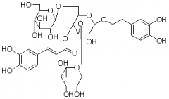 松果菊苷（海胆苷）对照品