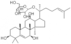 人参皂苷Rh7对照品