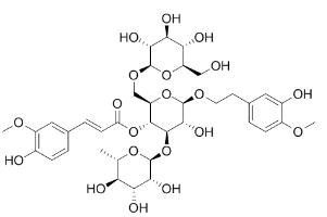 焦地黄苯乙醇甙B1标准品